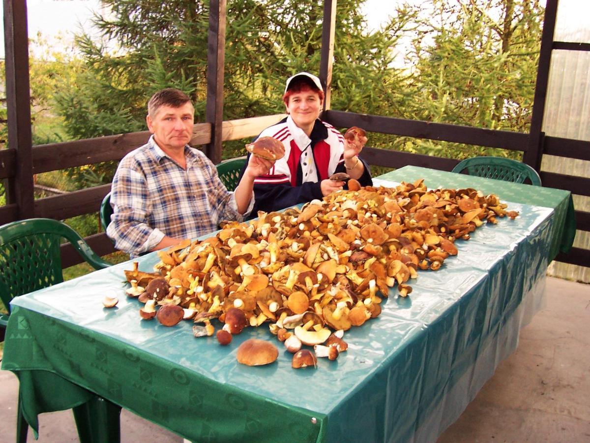 Biebrza24 - Agroturystyka Sztabin Kültér fotó