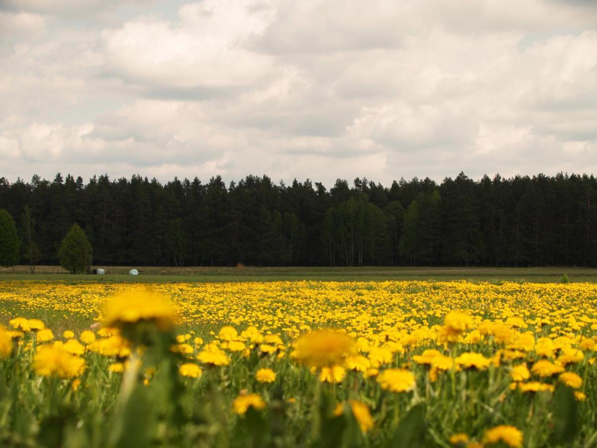 Biebrza24 - Agroturystyka Sztabin Kültér fotó