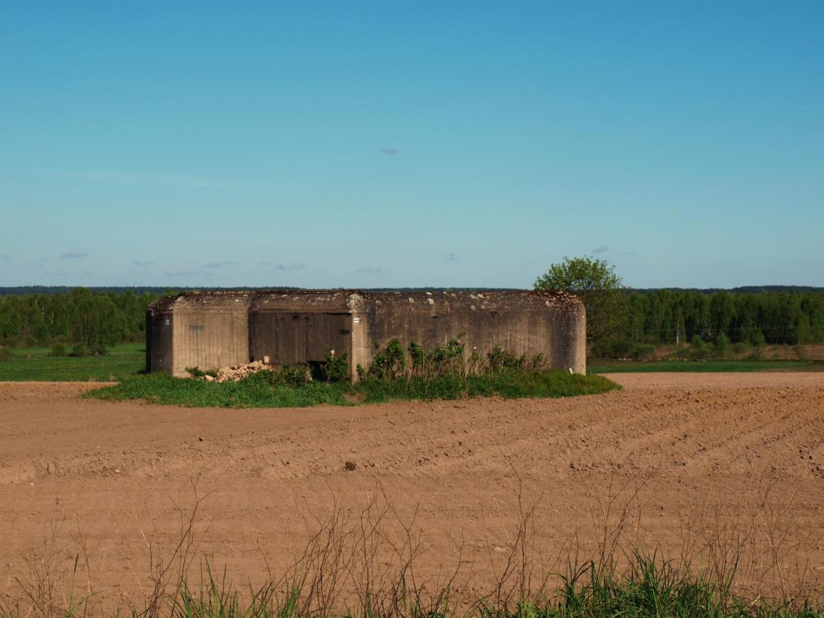 Biebrza24 - Agroturystyka Sztabin Kültér fotó